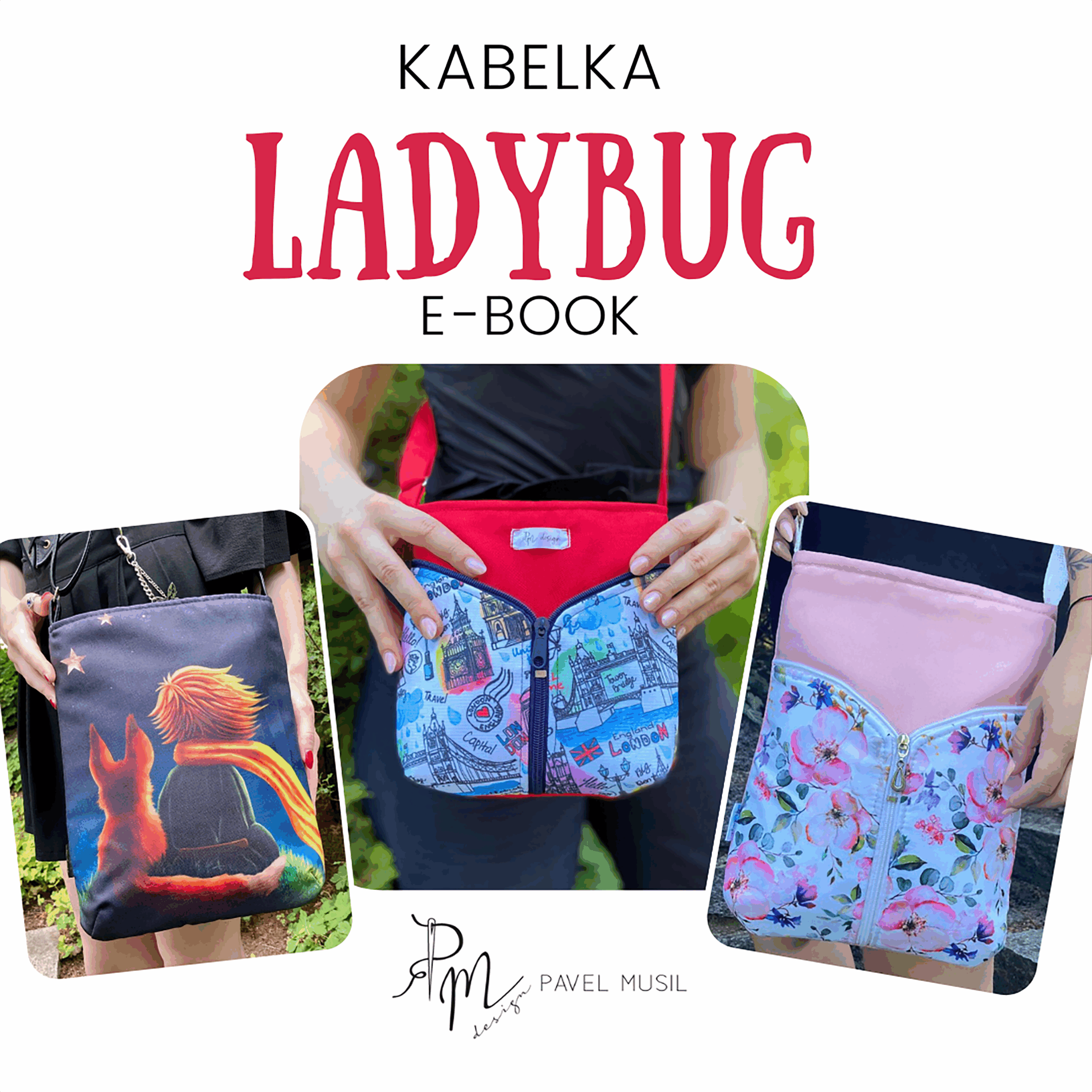 Ladybug_titul